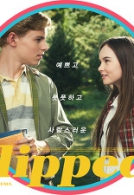 플립