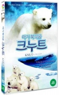 아기북극곰 크누트